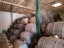 Barricas.webp